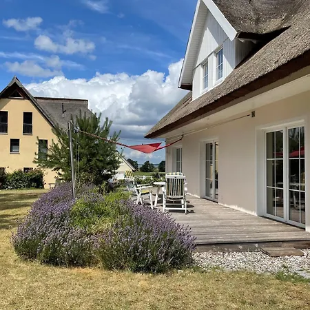 Lavendel-quelle 洛丁